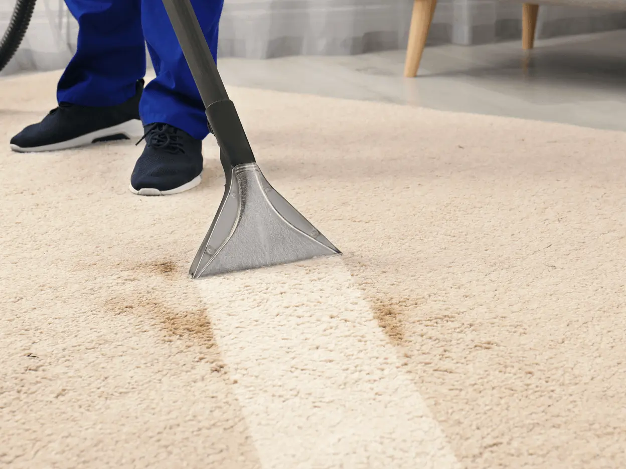 Teppichreinigung München 3